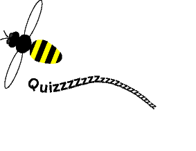 Quiz Biene