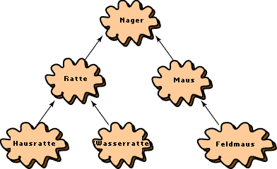 Hierarchie Nager
